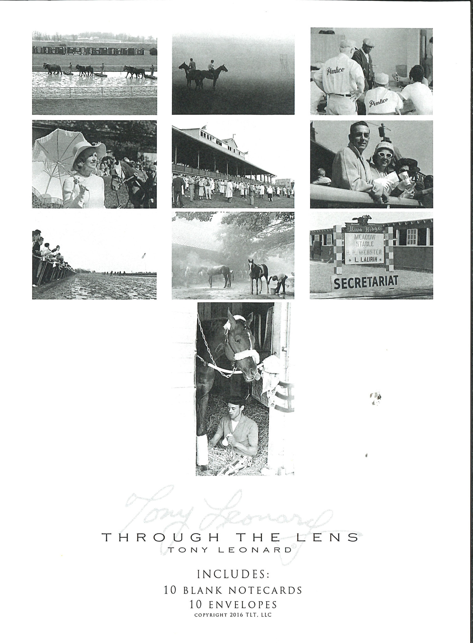Tony Leonard Note Card Set