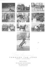 Tony Leonard Note Card Set