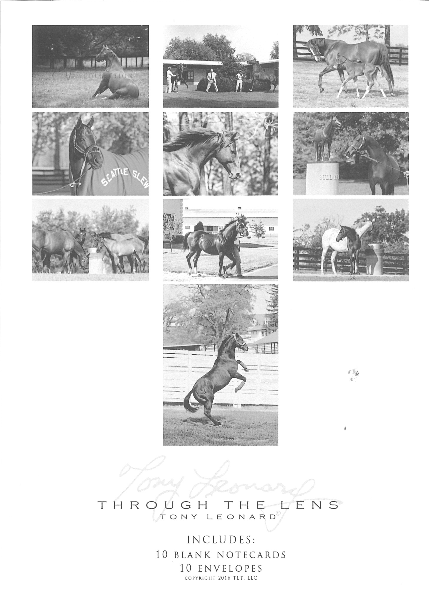 Tony Leonard Note Card Set