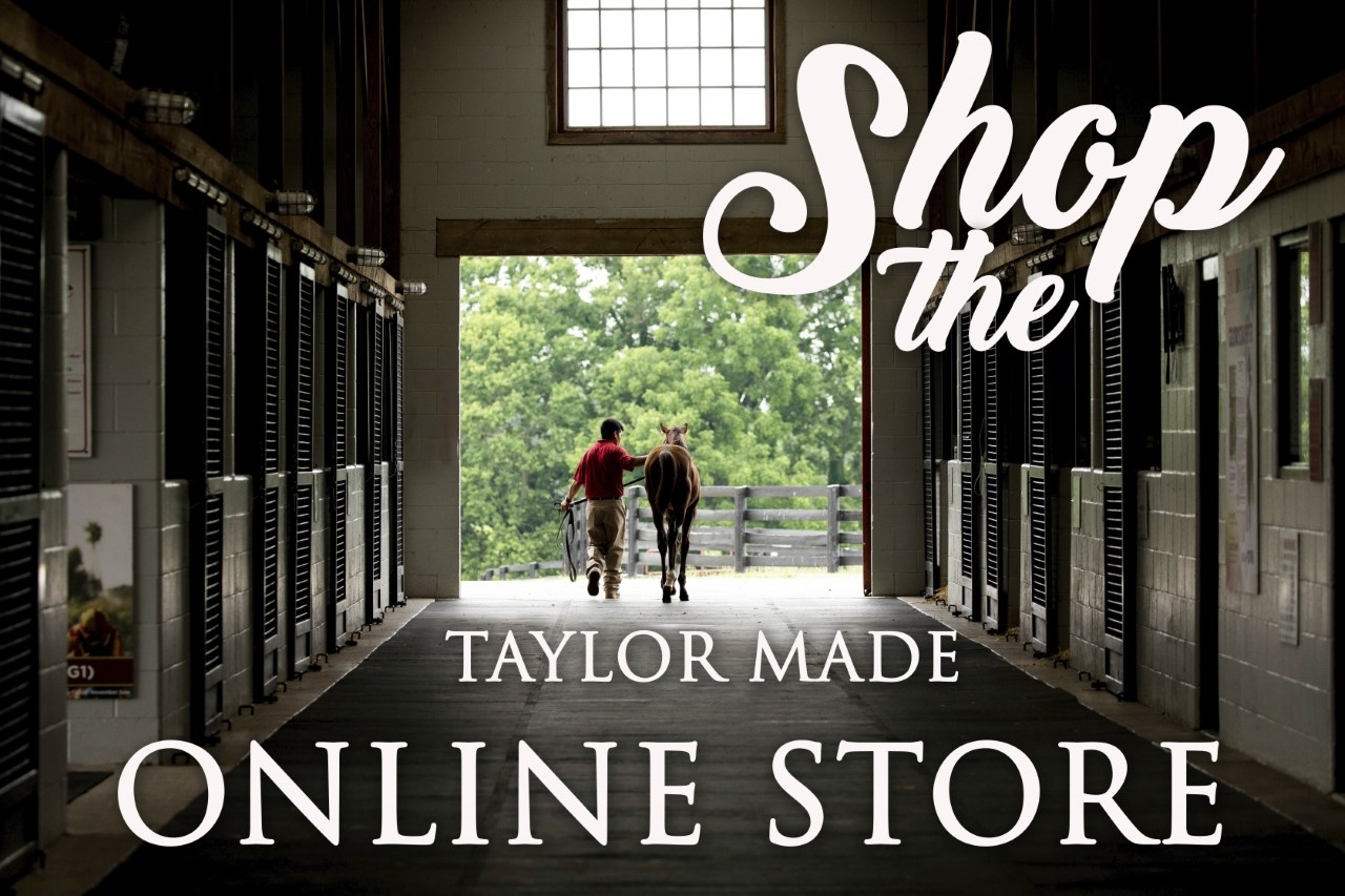 Shop Taylor Made