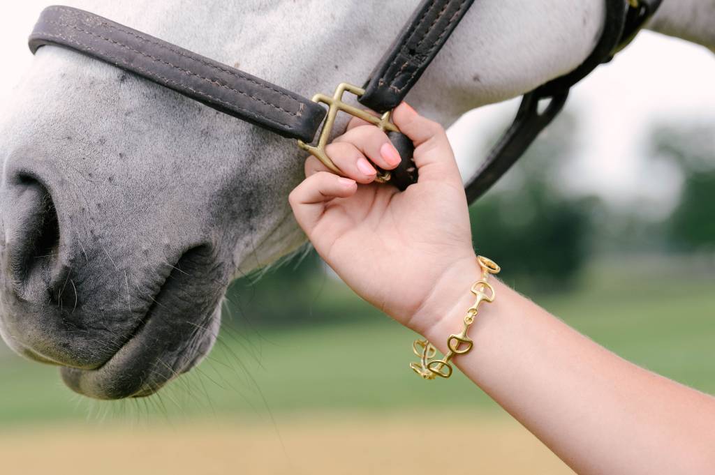 Bit Bracelet - Hard