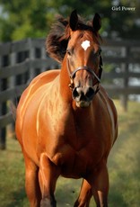 Laura D. Richard 8x10 Print