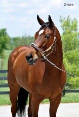 Laura D. Richard 8x10 Print