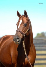 Laura D. Richard 8x10 Print