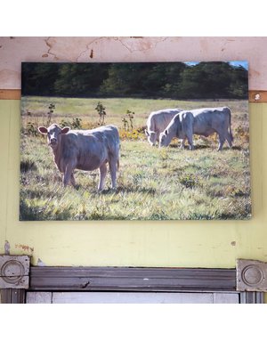 Cows In Pasture Giclee