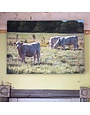 Cows In Pasture Giclee