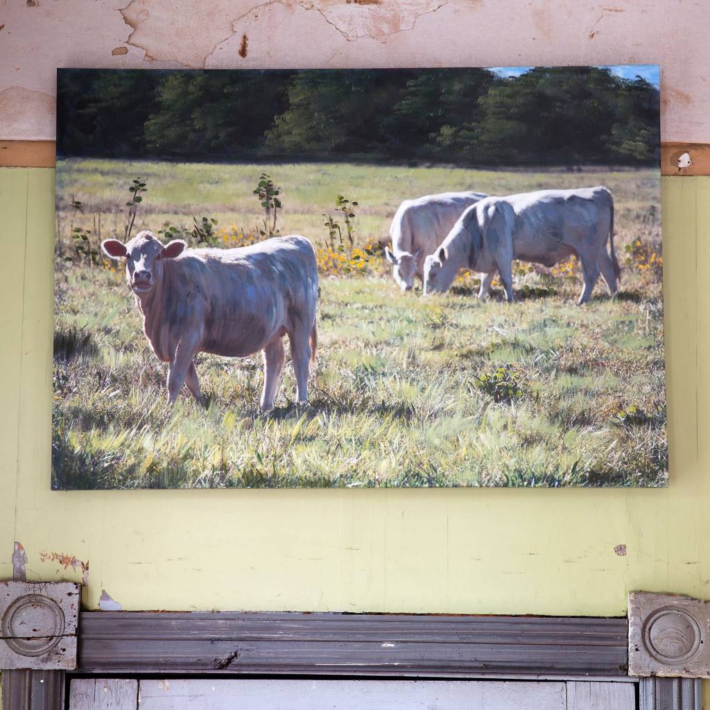 Cows In Pasture Giclee