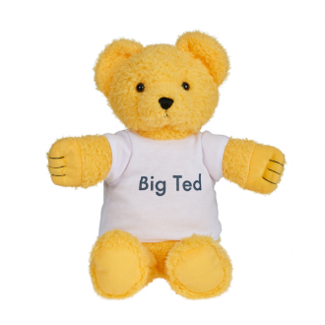PLAY SCHOOL - BIG TED