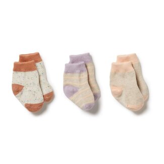 WILSON AND FRENCHY Org 3pk Socks - Cream Tan/Lilac Ash/Cameo Rose