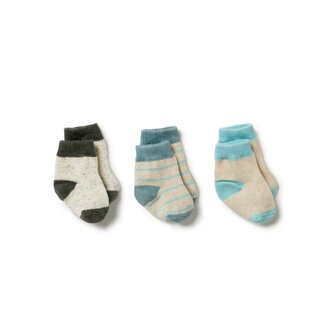 WILSON AND FRENCHY Organic 3 Pack Baby Socks - Shadow / Arctic / Mint