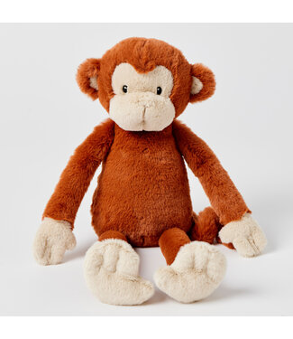 Gigi The Monkey