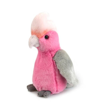 GALAH PLUSH 18CM