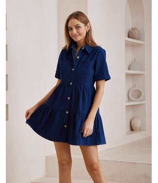 Dorit Denim Dress
