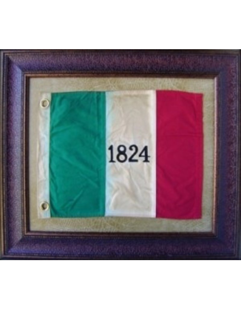 Texas Art - Medium 1824 Flag
