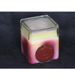 Circle E Candle - Bird of Paradise  - 12oz