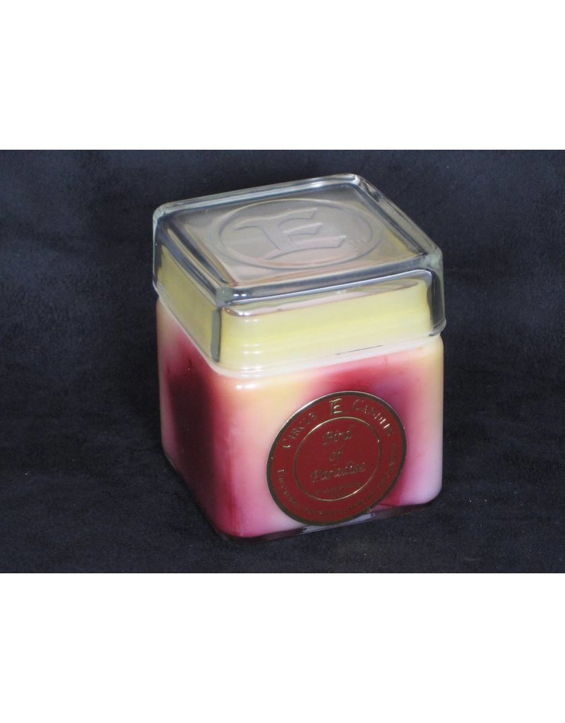 Circle E Candle - Bird of Paradise  - 12oz