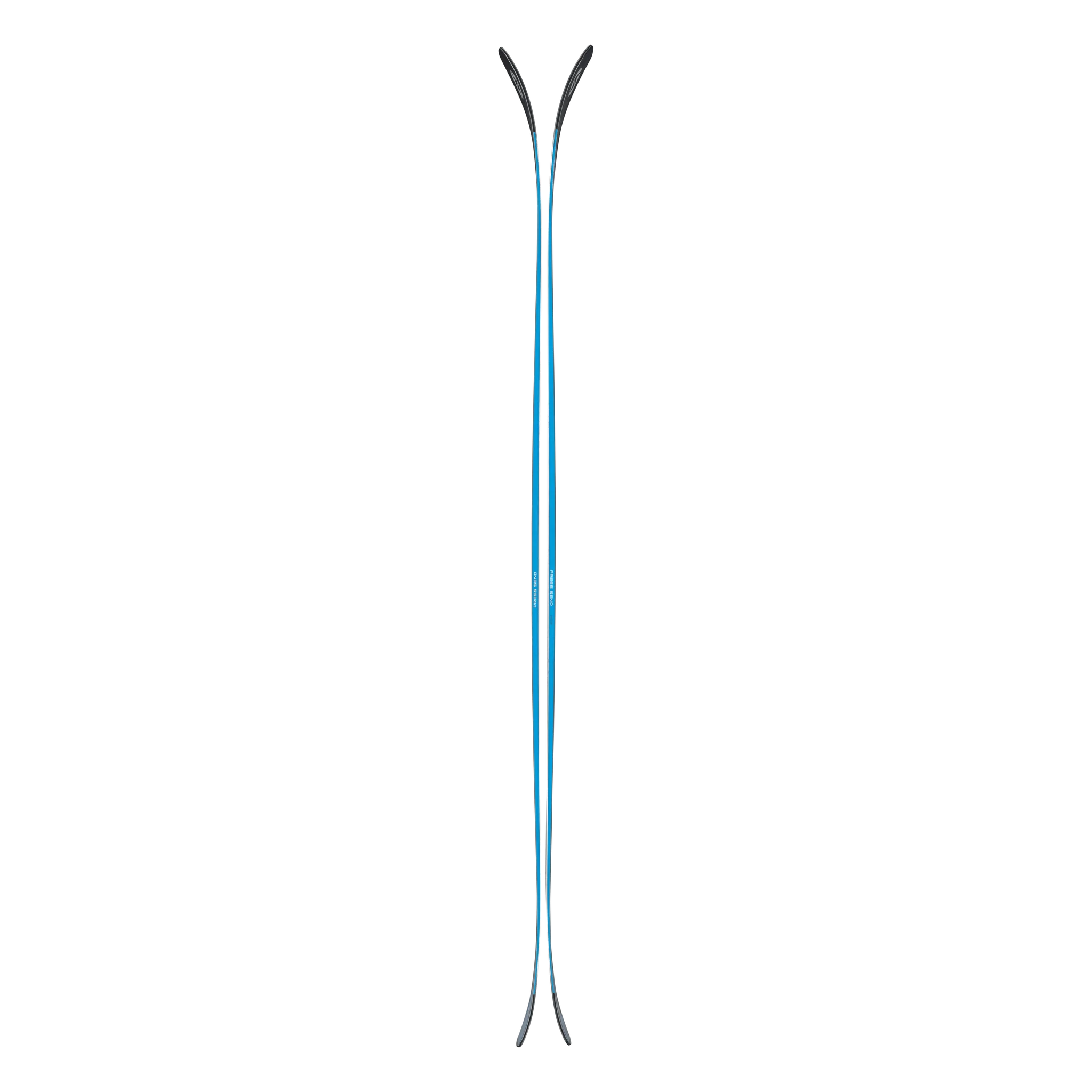 Blizzard RUSTLER 10 2026