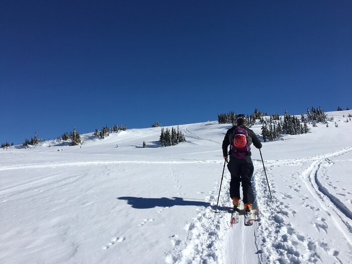 How Backcountry Skiing Works: From Skinning Up to Skiing Down
