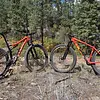 Hardtail vs Full Suspension Mountain Bikes: Which Is Right for You