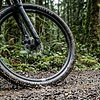 How to Choose Gravel Bike Tires: Width, Tread and Terrain