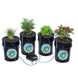 Alfreds Alfred DWC 4 Plant System