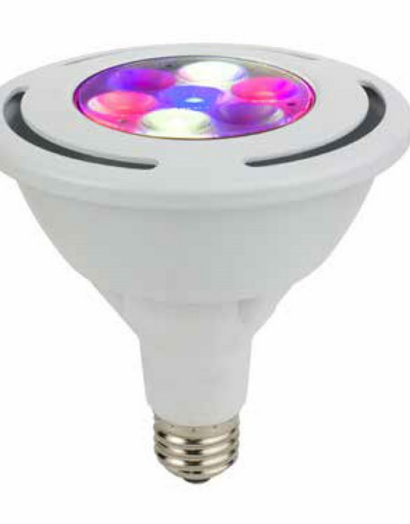 Zelion Zelion Par38 HL LED Bulb - 17 Watt - Green Corner