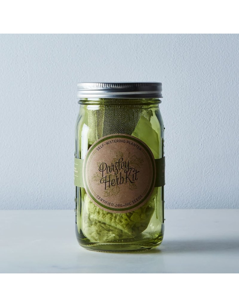 Modern Sprout Garden Jar Herb Kit - Parsley