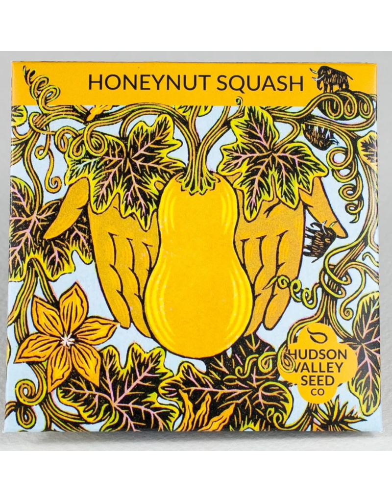 Hudson Valley Seed Company HoneyNut Squash Seeds