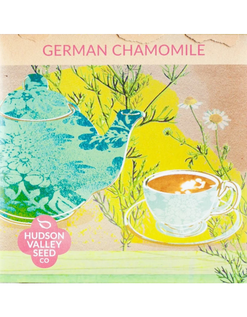 Hudson Valley Seed Company German Chamomile Herb Seeds