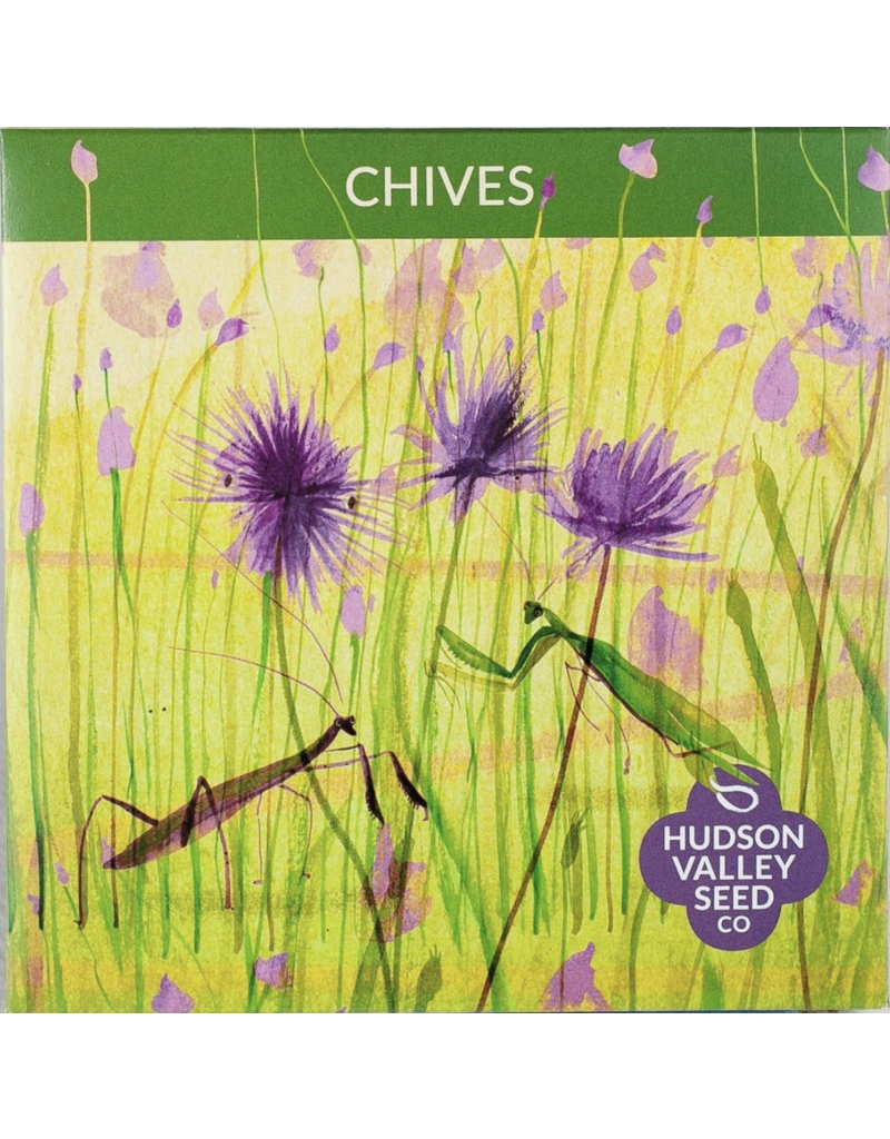 Hudson Valley Seed Company Chives Herb