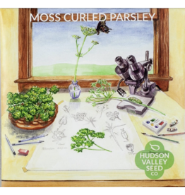 Hudson Valley Seed Company Moss Curled Parsley Herb