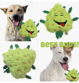 Bud the Weed Nug 420 Dog Toy