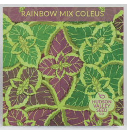 Hudson Valley Seed Company Rainbow Mix Coleus