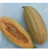Hudson Valley Seed Company Banna Melon