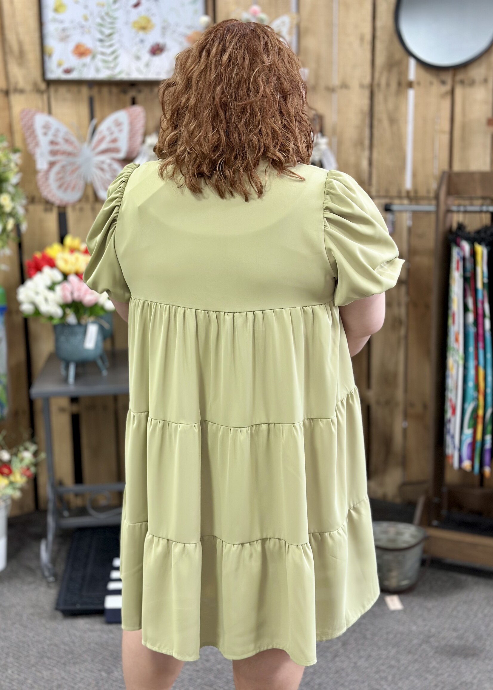 Sage Button Up Dress