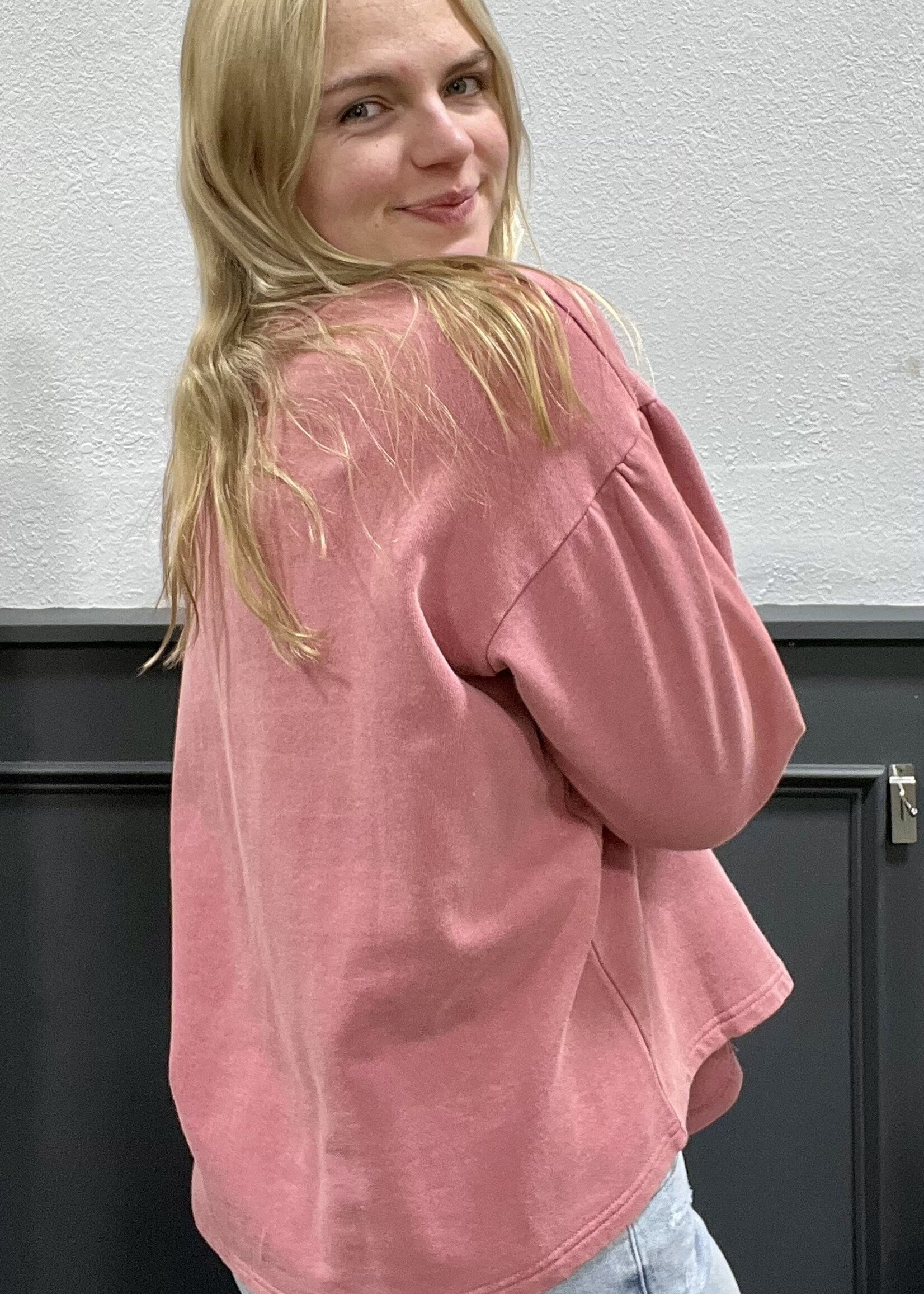 Easel Dusty Rose Tea Cup Patchwork Top