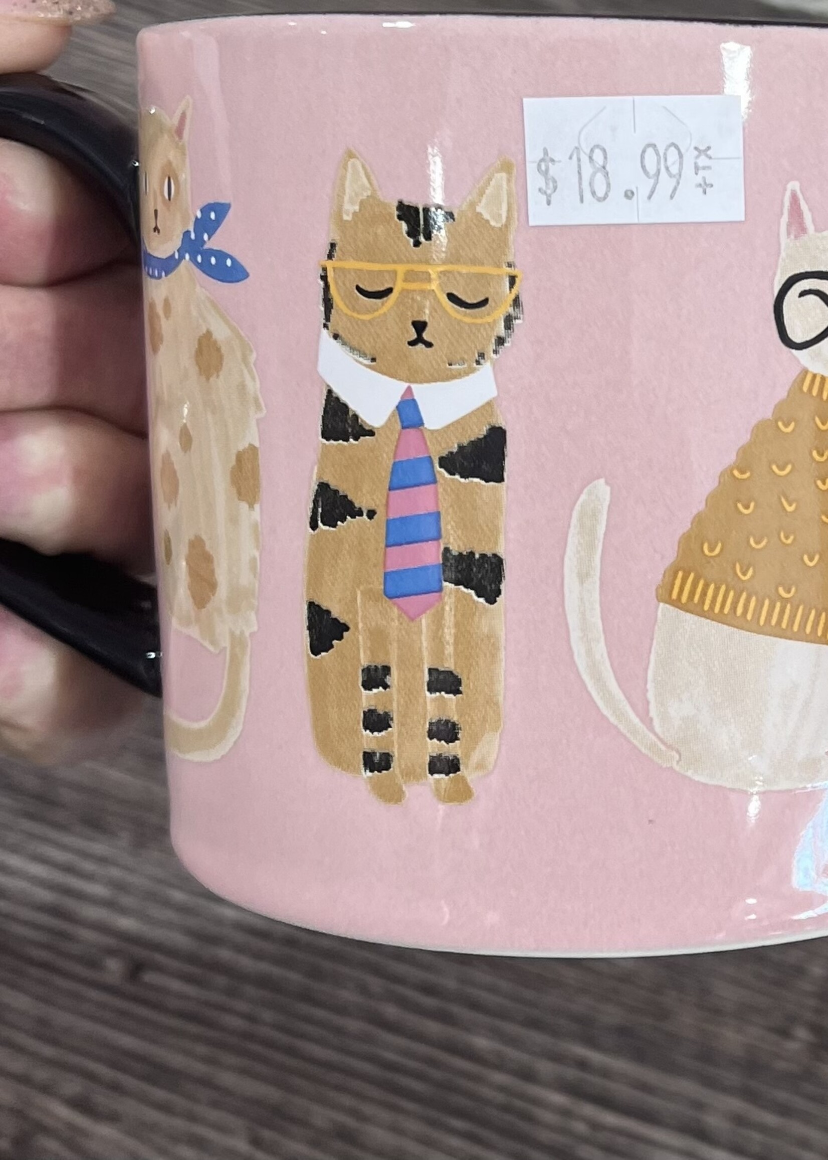 Fine Feline Boxed Mug
