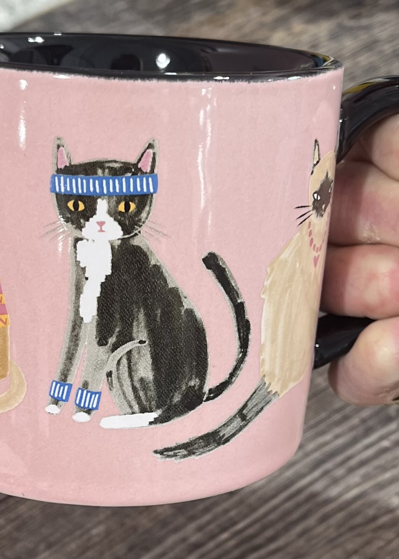 Fine Feline Boxed Mug