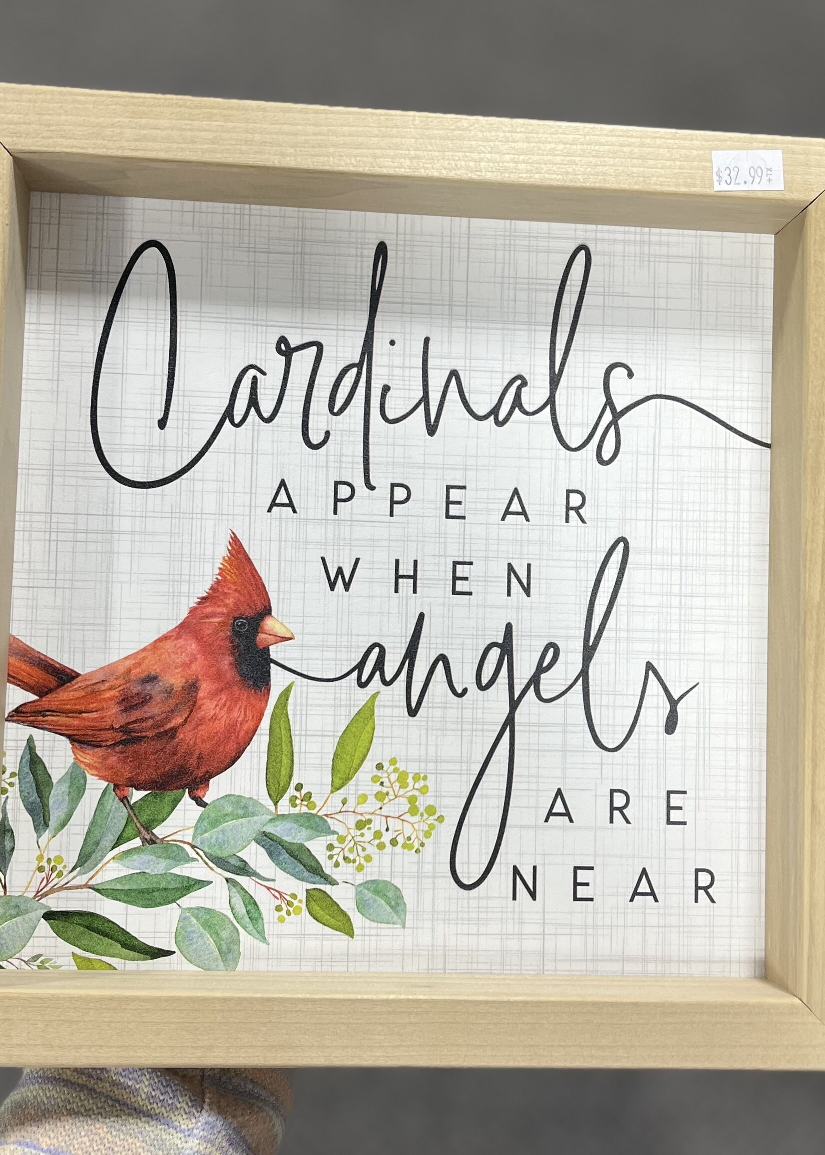 Cardinals Appear Framed Picture