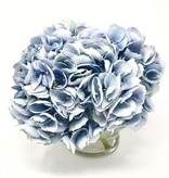 Large Hydrangea x3 in 5" Cylinder-Faux Water (Light Blue)