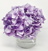 Hydrangea in 4" Cylinder-Faux Water (Purple Lavende )