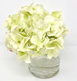 Hydrangea in 4" Cylinder-Faux Water (Light Green)