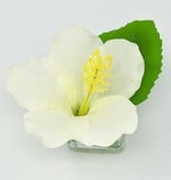 Hibiscus Votive-Faux Water (White)