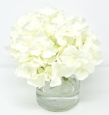 Hydrangea in 4" Cylinder-Faux Water (White)