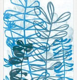 Kelp 1