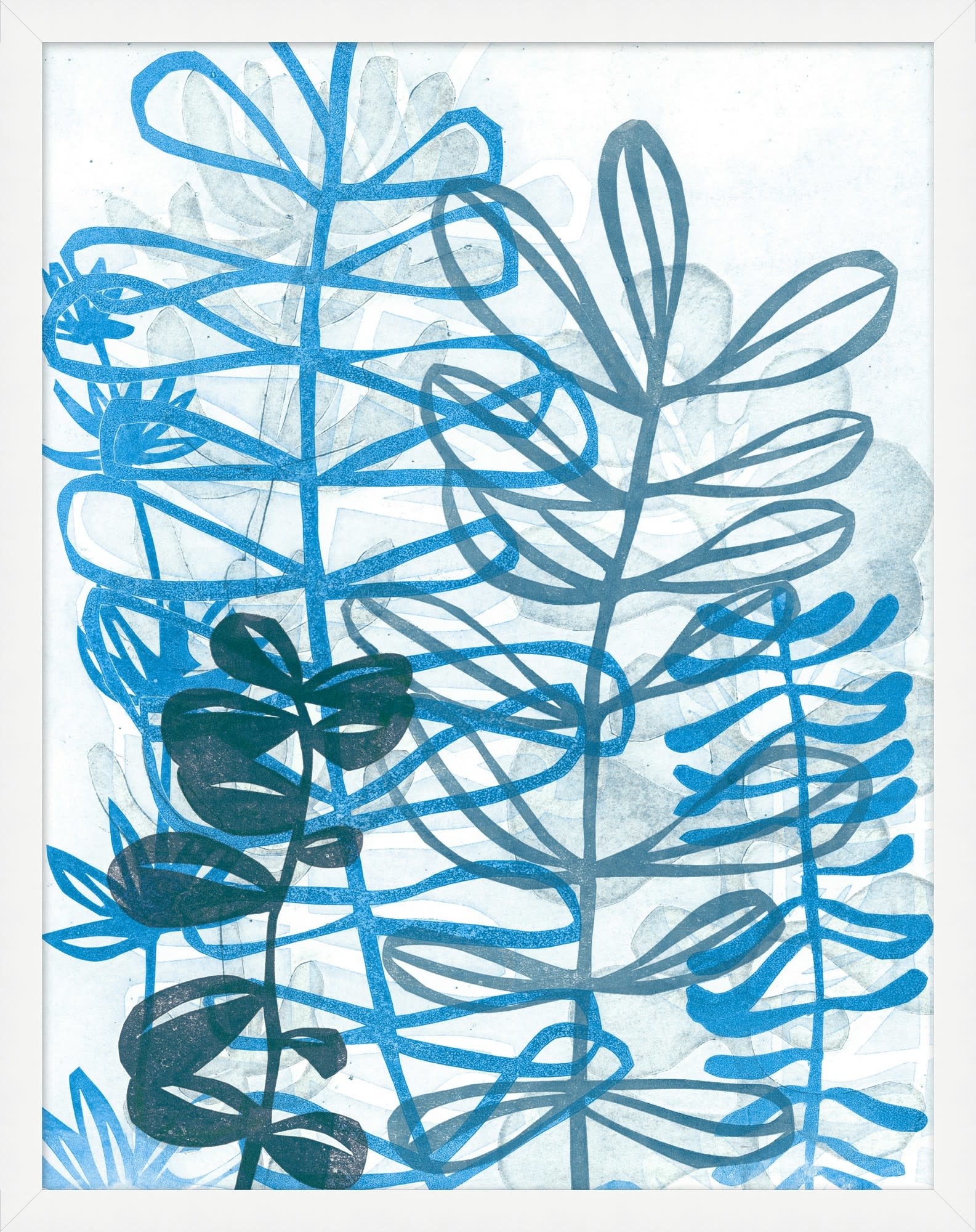 Kelp 1