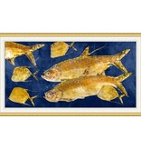 Gold Fish 2
