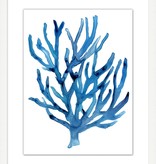 Modern Coral 3