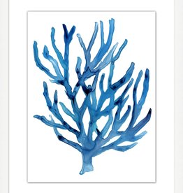 Modern Coral 3