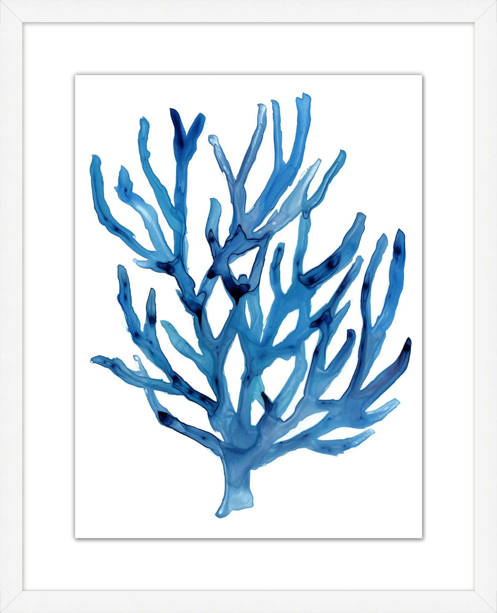 Modern Coral 3